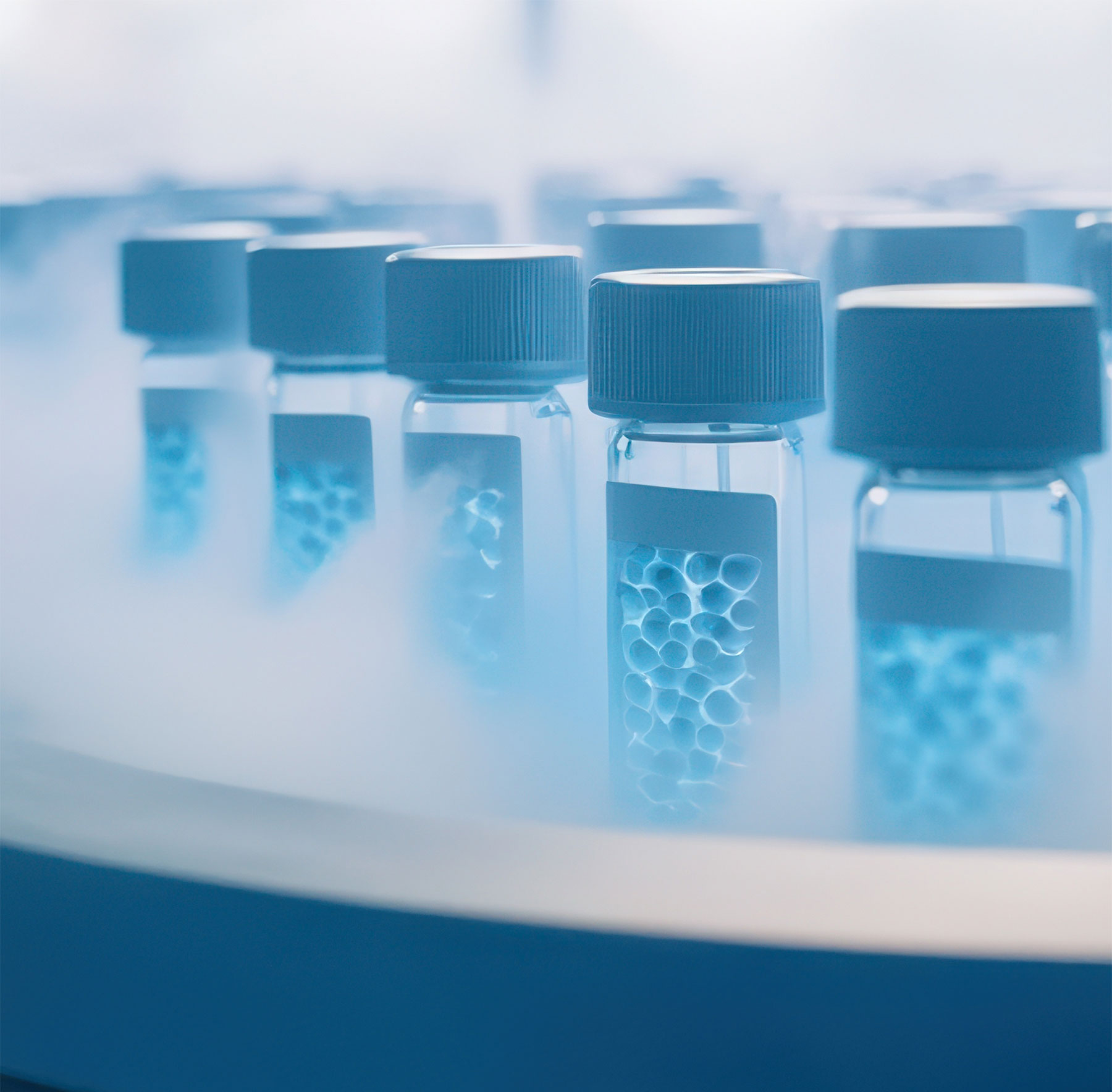 Rejuvion Bio